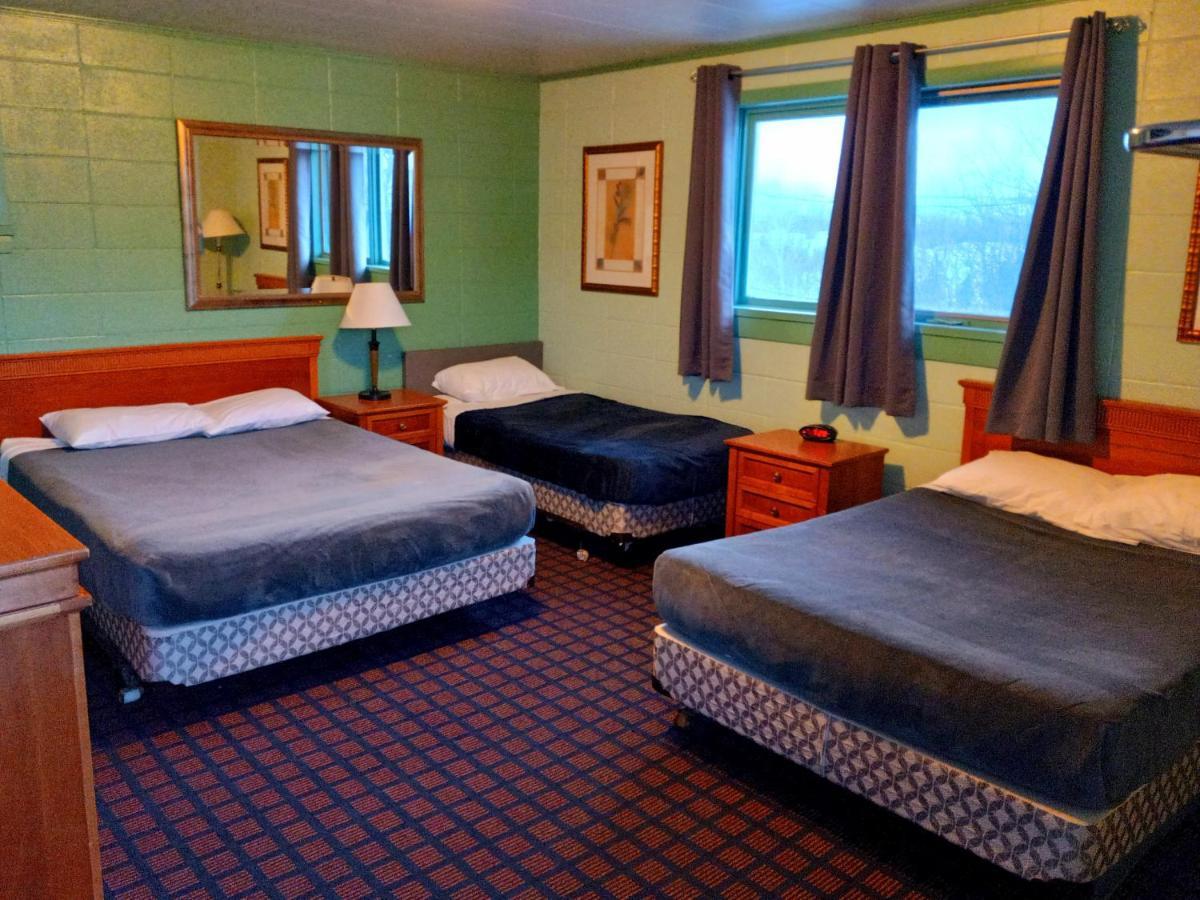 Chalet Inn Motel ドライデン エクステリア 写真